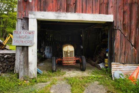 Milk Cows not Taxpayers